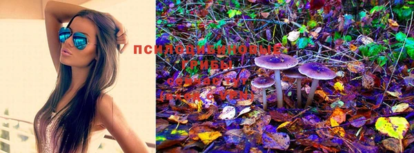 MESCALINE Алзамай