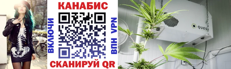 Каннабис Ganja Шелехов